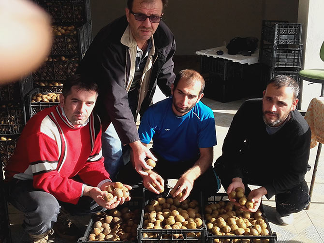 kivi2-002.jpg kivi2-002.jpg