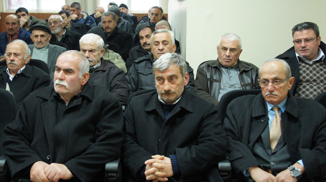 kivi2.20130228144123.jpg kivi2.20130228144123.jpg