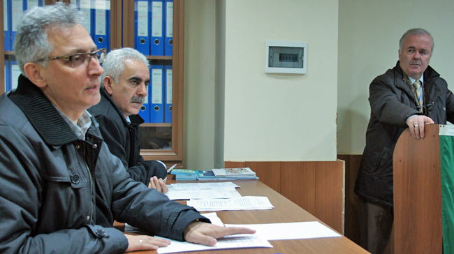 kivi3.20130228144051.jpg kivi3.20130228144051.jpg