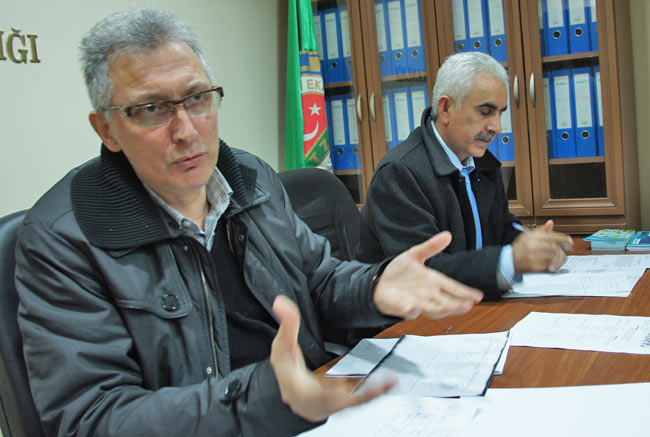 kivi4.20130228144248.jpg kivi4.20130228144248.jpg