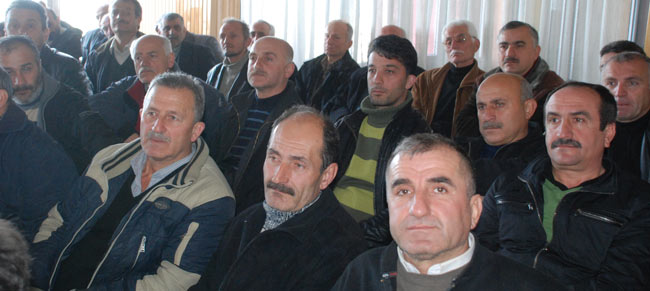 kong3.20120107173918.jpg kong3.20120107173918.jpg