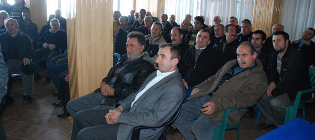 kong7.20120107173709.jpg kong7.20120107173709.jpg