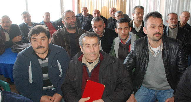 kong8.20120107173953.jpg kong8.20120107173953.jpg