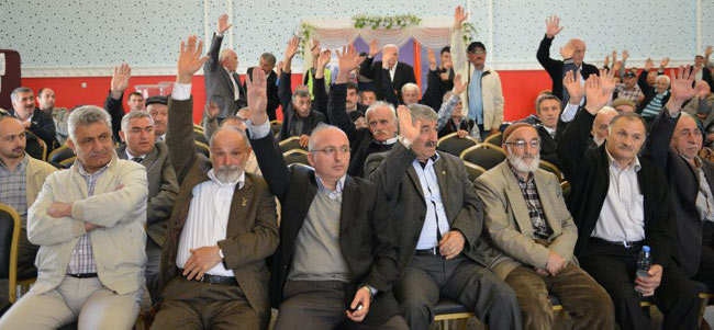 koop3.20130428184023.jpg koop3.20130428184023.jpg