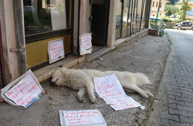 kop1.20130829145424.jpg kop1.20130829145424.jpg