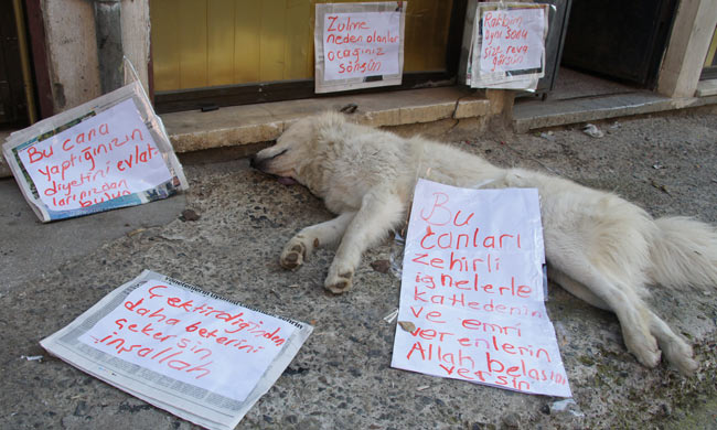 kop2.20130829150047.jpg kop2.20130829150047.jpg