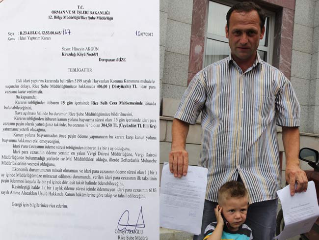 kopek1.20120725183056.jpg kopek1.20120725183056.jpg