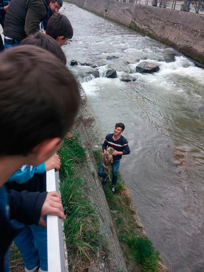 kopekk.jpg kopekk.jpg