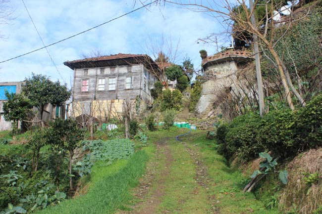 kopuz4.jpg kopuz4.jpg