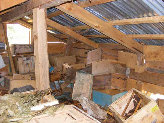 kovan1.jpg kovan1.jpg