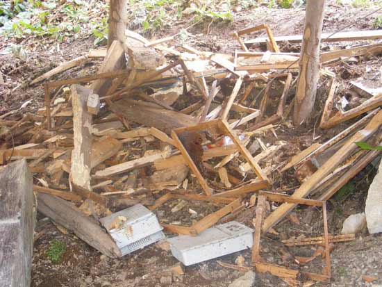 kovan2.jpg kovan2.jpg