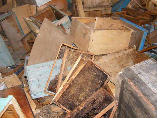 kovan3.jpg kovan3.jpg