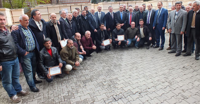 kovan4.jpg kovan4.jpg