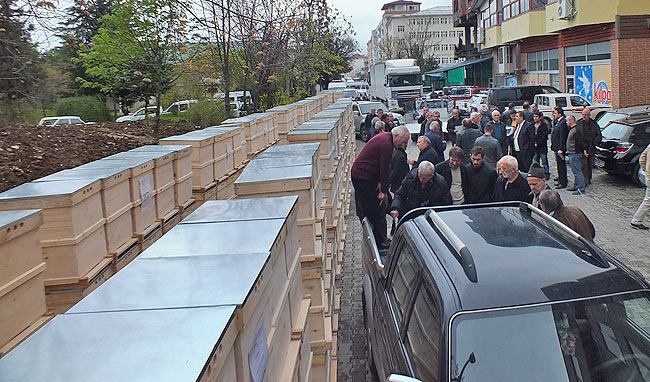 kovan6.jpg kovan6.jpg