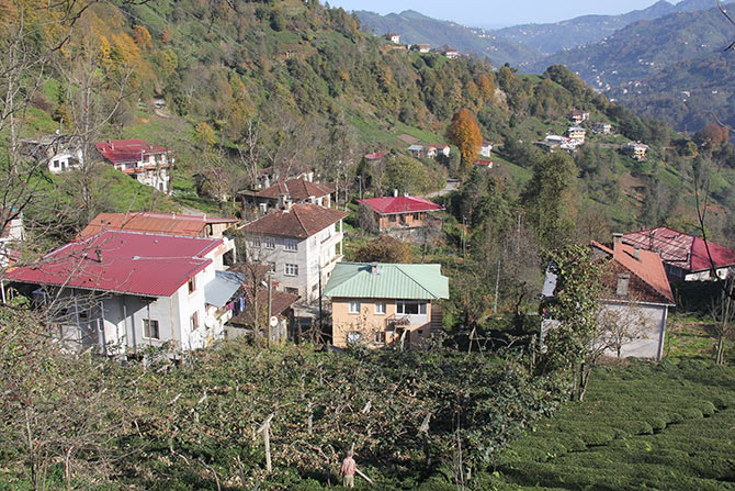 koy2-002.jpg koy2-002.jpg