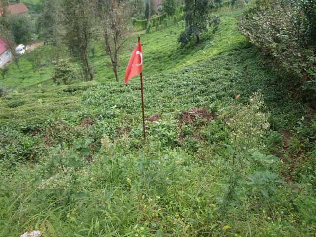 koy2.20130923191029.jpg koy2.20130923191029.jpg