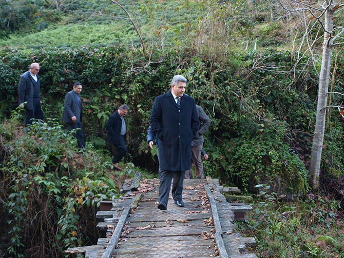 koy6-001.jpg koy6-001.jpg