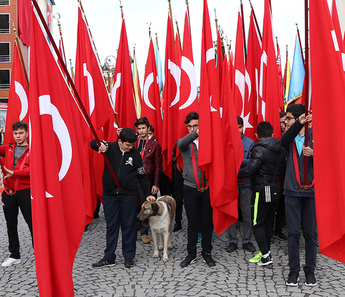 krtls4-003.jpg krtls4-003.jpg