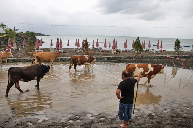 kurban1.20140920141140.jpg kurban1.20140920141140.jpg