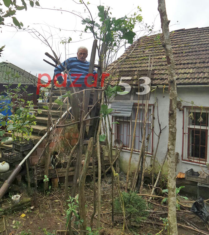 lahana01.jpg lahana01.jpg