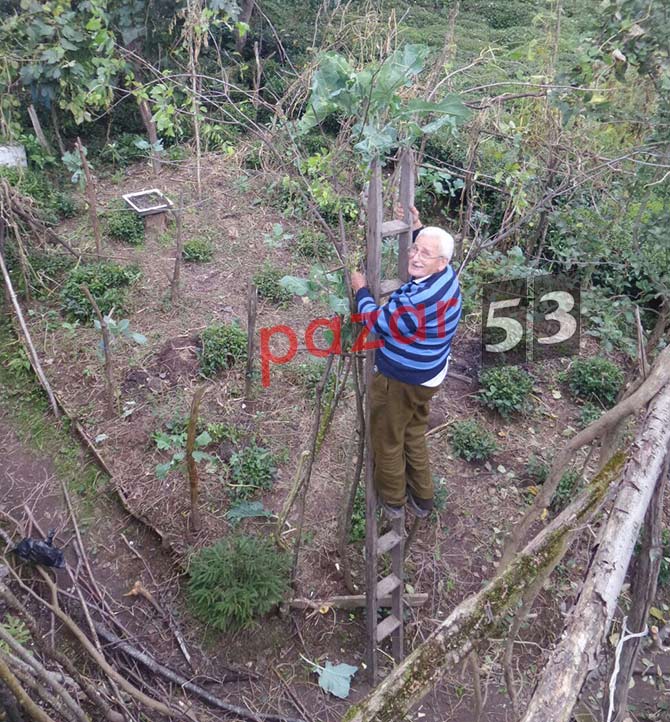 lahana1-001.jpg lahana1-001.jpg