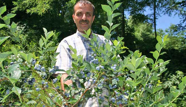 likapa1.20130625152456.jpg likapa1.20130625152456.jpg