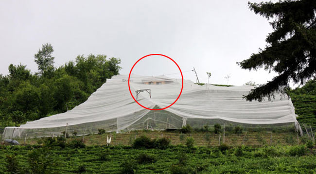 likapa1.20130719210309.jpg likapa1.20130719210309.jpg