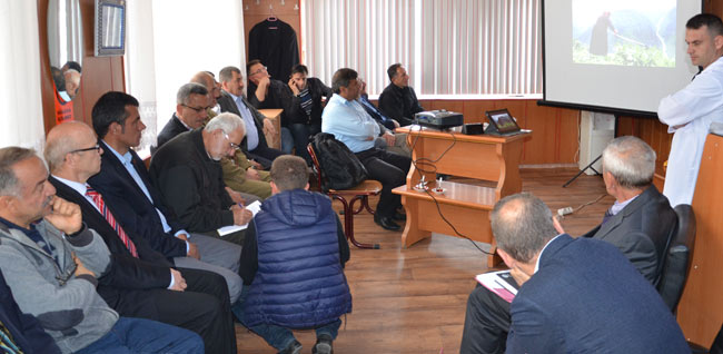 lipton3.jpg lipton3.jpg