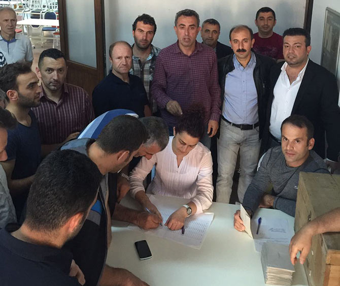 lipton4.jpg lipton4.jpg