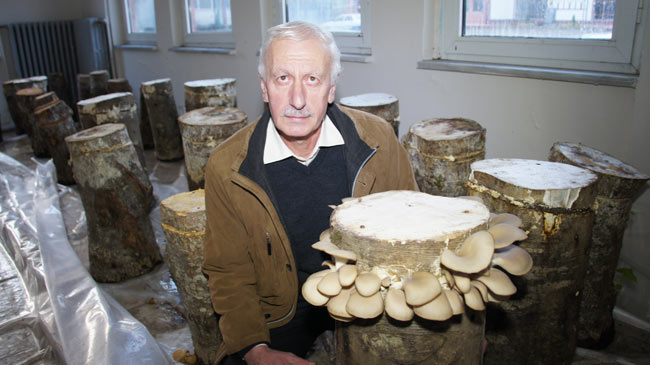 mantar1.20121216120229.jpg mantar1.20121216120229.jpg