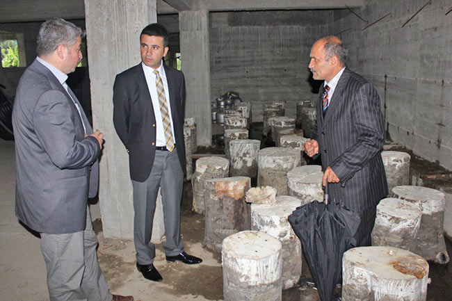 mantar1.20130916123527.jpg mantar1.20130916123527.jpg