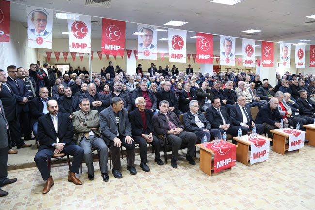 mhp009.jpg mhp009.jpg