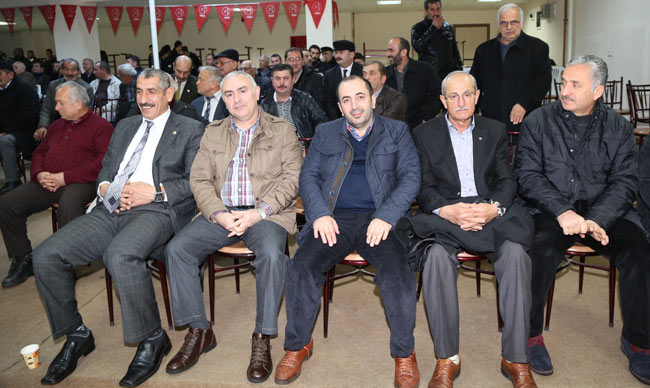 mhp012.jpg mhp012.jpg