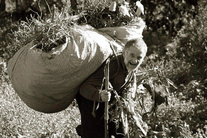 mustafa-tarakci.jpg mustafa-tarakci.jpg