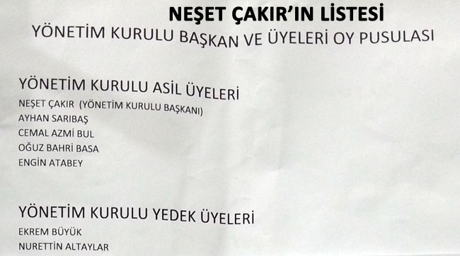 neset.20130518145537.jpg neset.20130518145537.jpg