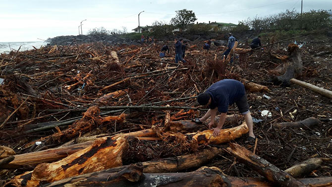 odun01.jpg odun01.jpg