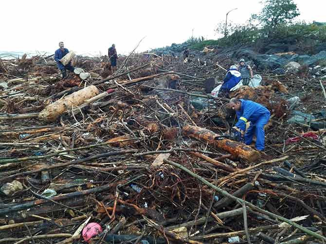 odun02.jpg odun02.jpg