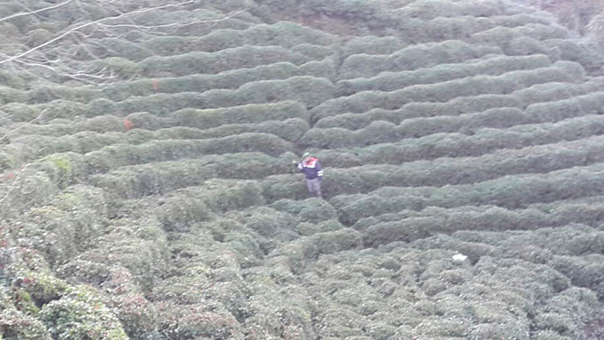 op1-001.jpg op1-001.jpg