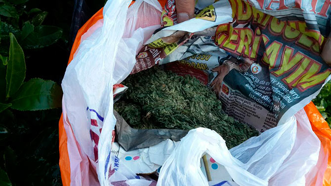 op2-001.jpg op2-001.jpg