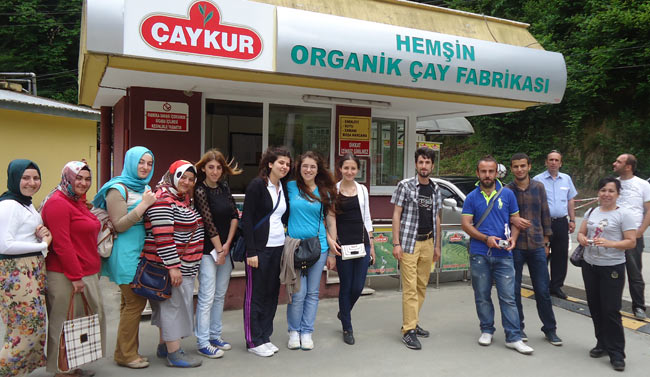 org1.20130525001949.jpg org1.20130525001949.jpg