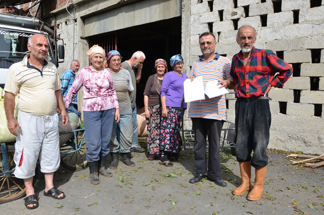 org1.20130918161718.jpg org1.20130918161718.jpg