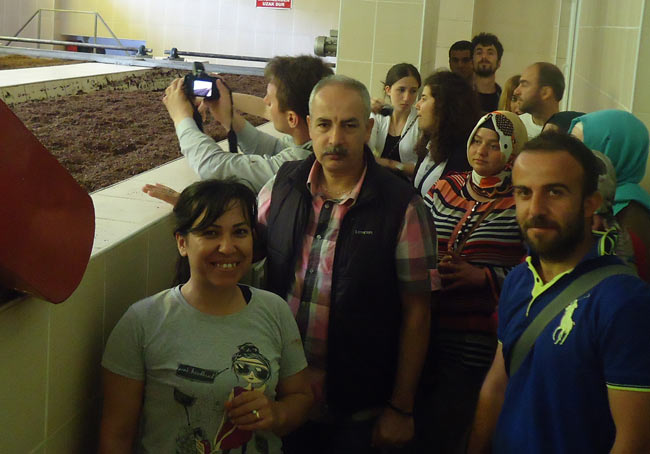 org2.20130525001856.jpg org2.20130525001856.jpg