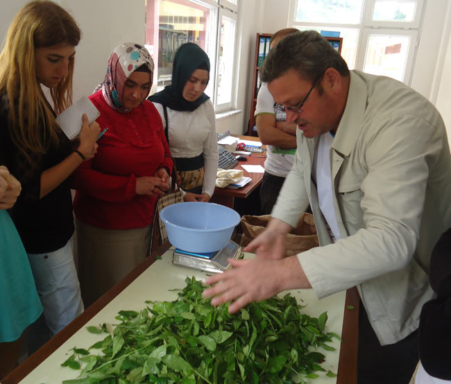 org3.20130525001919.jpg org3.20130525001919.jpg