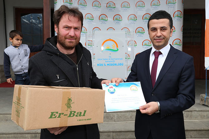 org4-001.jpg org4-001.jpg