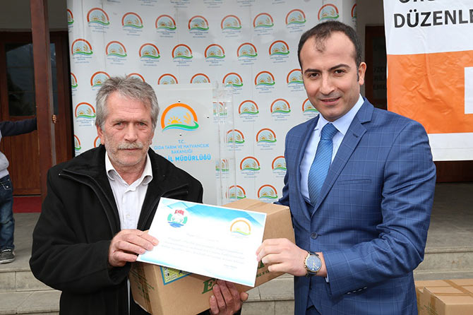 org5-001.jpg org5-001.jpg