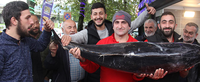 orkinos4.jpg orkinos4.jpg