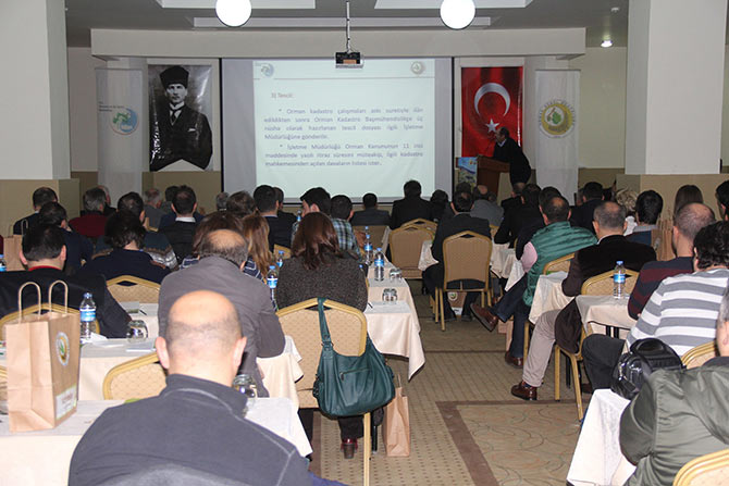 ormanci2.jpg ormanci2.jpg