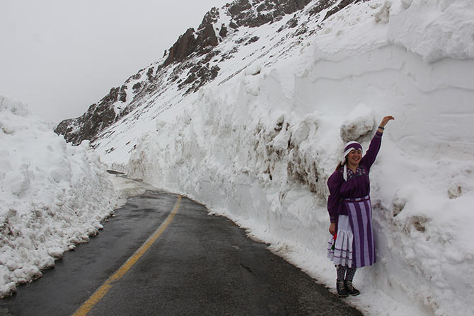 ovit1-003.jpg ovit1-003.jpg