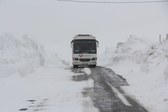 ovit1.20150330155520.jpg ovit1.20150330155520.jpg