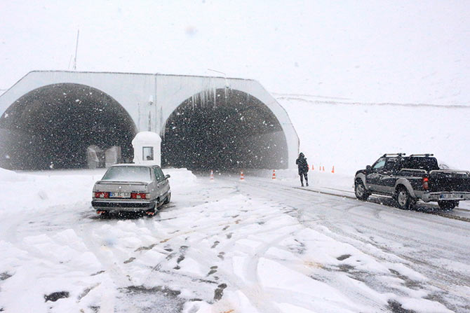 ovit11.jpg ovit11.jpg